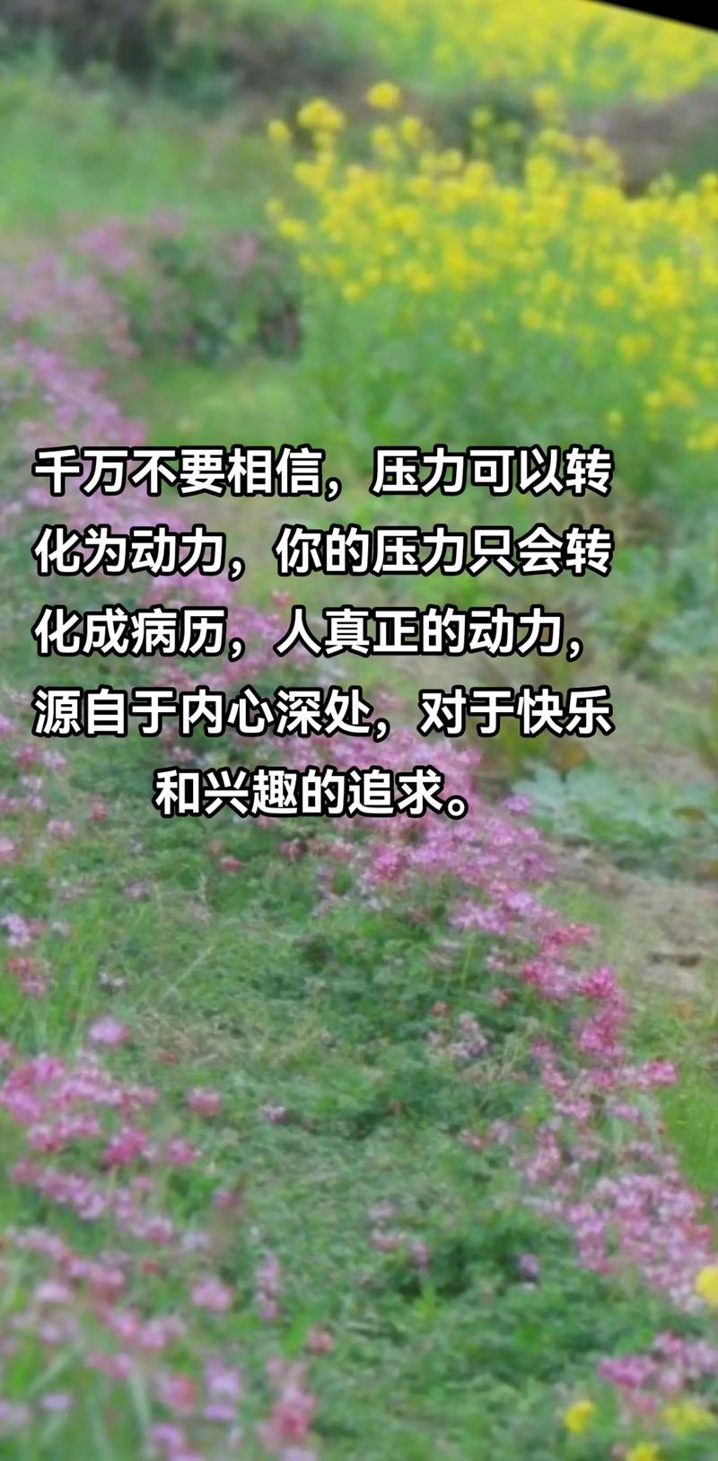 压力与动力的名言警句,压力与动力的名言警句有哪些-图2 压力与动力的名言警句,压力与动力的名言警句有哪些-图2