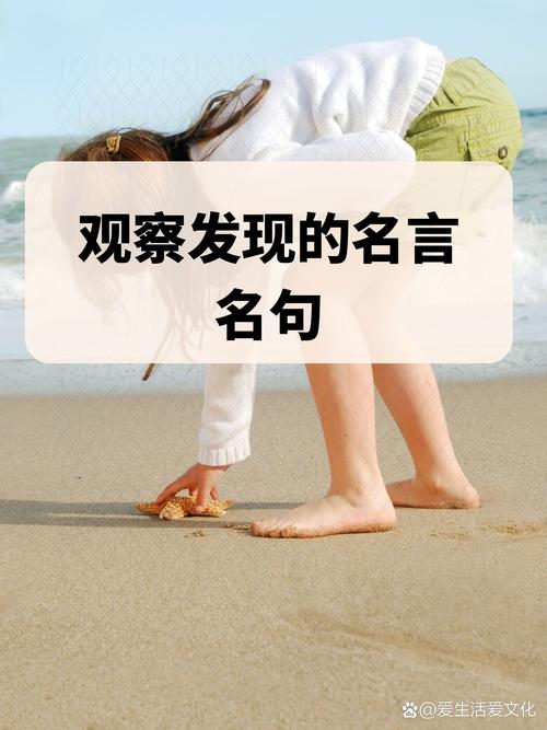 与发现的名言,发现的名言10个-图1 与发现的名言,发现的名言10个-图1