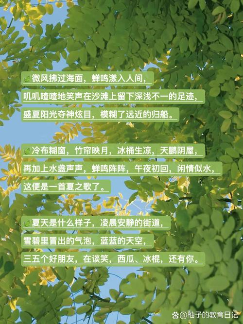 夏的名言,夏的名言名句-图1 夏的名言,夏的名言名句-图1