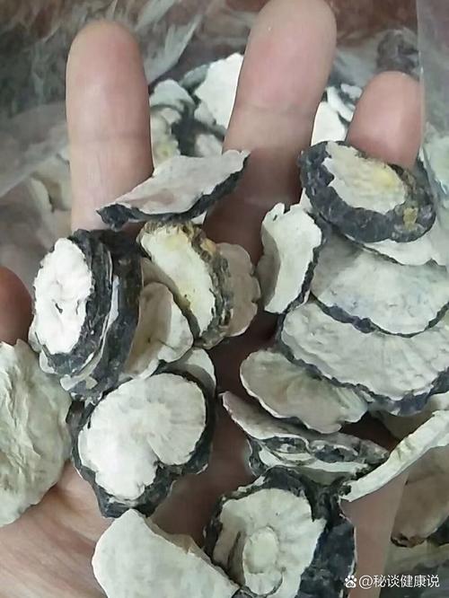 玛卡有哪些经典名言?-图2 玛卡有哪些经典名言?-图2