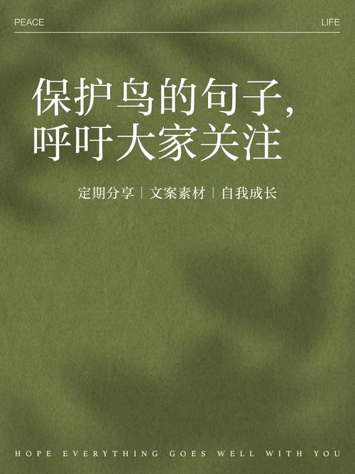 小乌名言,小鸟的名言名句-图2 小乌名言,小鸟的名言名句-图2