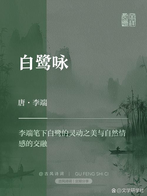 白鹭诗歌,飞鸟的诗意栖居在何方?-图1 白鹭诗歌,飞鸟的诗意栖居在何方?-图1