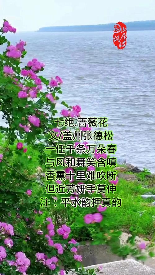 关于蔷薇花的诗歌,关于蔷薇花的诗歌短文-图1 关于蔷薇花的诗歌,关于蔷薇花的诗歌短文-图1