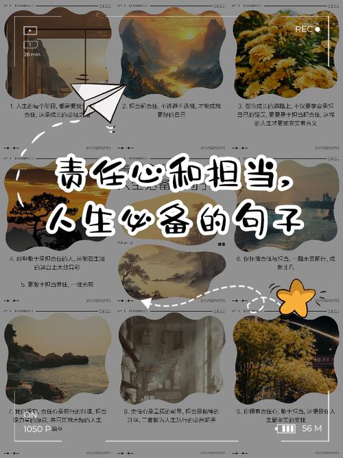 关于责任心的名言，关于责任心的名言警句-图3