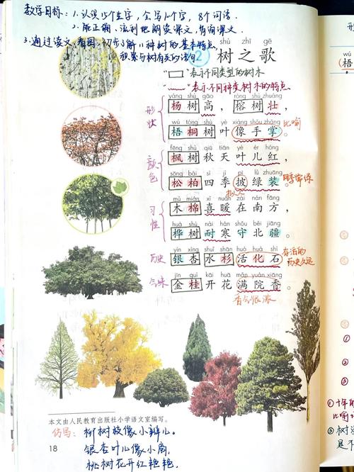 树诗歌小学生怎么写?-图3 树诗歌小学生怎么写?-图3