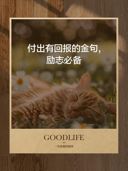 付出与收获名言,付出与收获名言警句-图1 付出与收获名言,付出与收获名言警句-图1