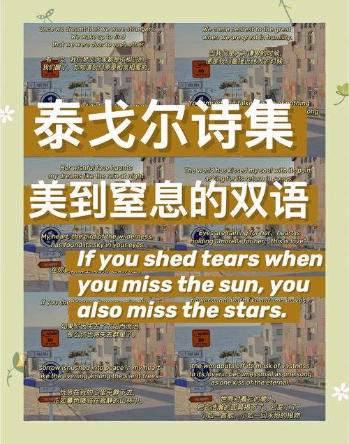 外国诗歌赏析，外国诗歌鉴赏-图3