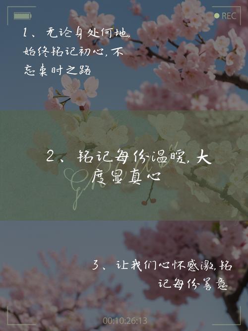 读培根名言,培根的名言读书-图2 读培根名言,培根的名言读书-图2