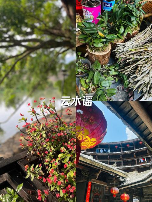 云水谣 诗歌,云水谣》-图3 云水谣 诗歌,云水谣》-图3