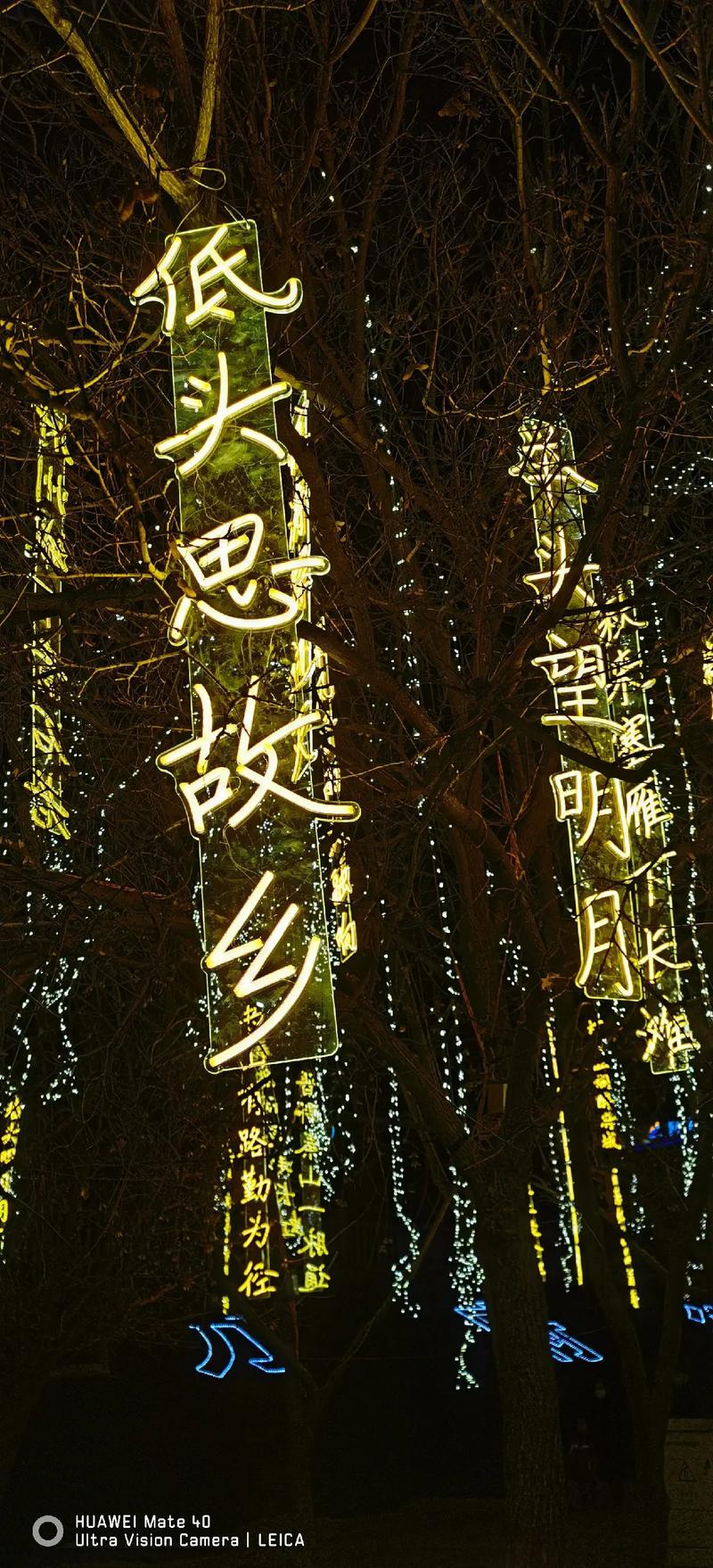 灯下诗行藏着怎样的心事?-图2 灯下诗行藏着怎样的心事?-图2