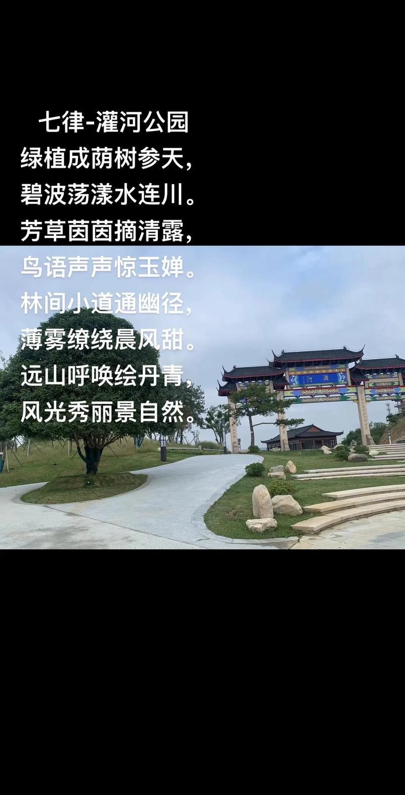 诗歌如何助力创森林城市？-图2