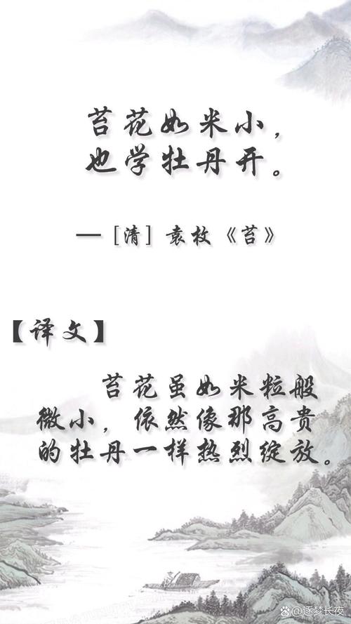 牡丹薛涛诗歌,牡丹唐诗薛涛-图3 牡丹薛涛诗歌,牡丹唐诗薛涛-图3