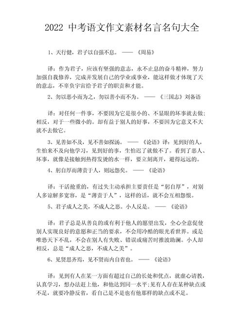 竞选结尾名言，竞选结尾名言名句大全-图3