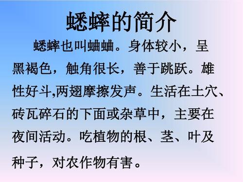 蟋蟀 诗歌，蟋蟀诗歌意象-图2