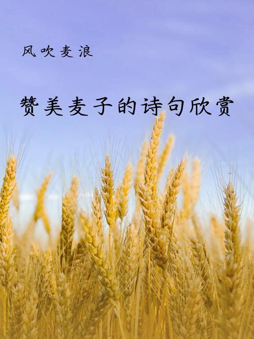 麦收诗歌,麦收诗歌有哪些-图2 麦收诗歌,麦收诗歌有哪些-图2