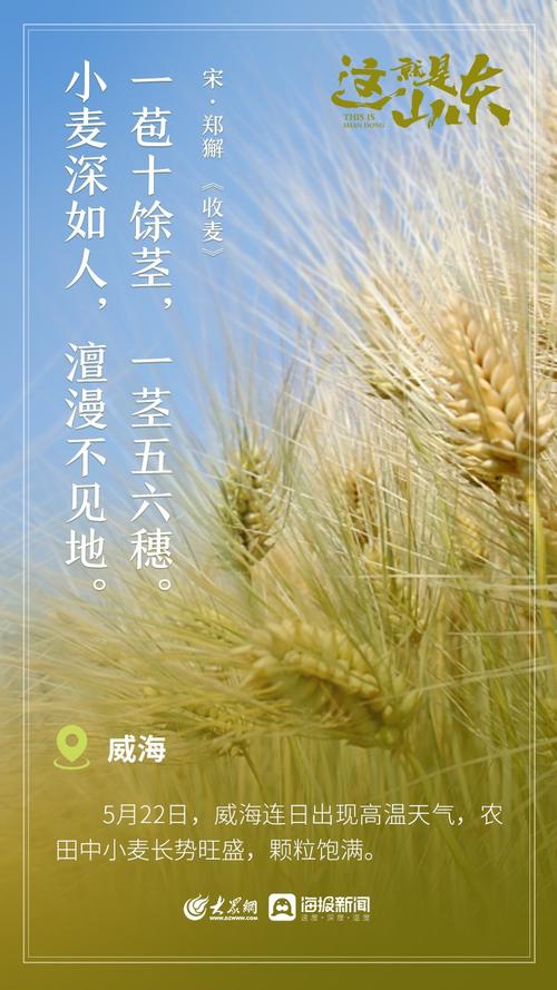 麦收诗歌,麦收诗歌有哪些-图3 麦收诗歌,麦收诗歌有哪些-图3