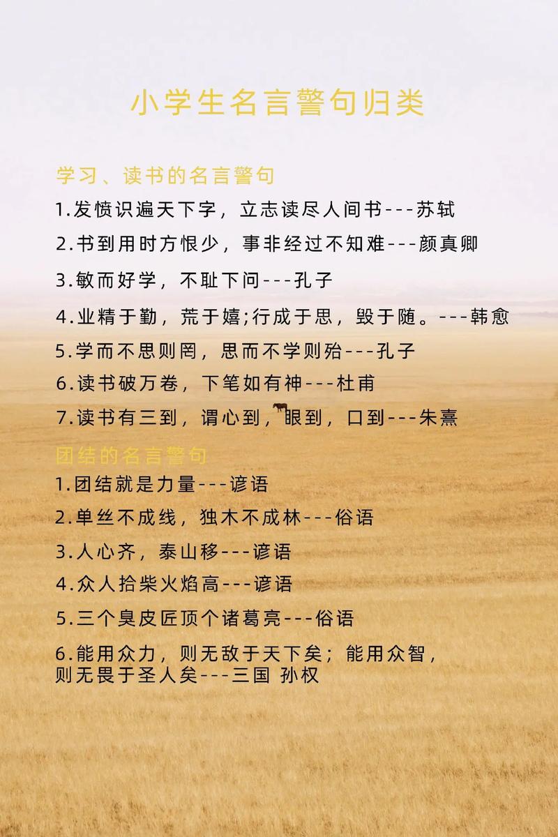 分析的名言,分析的名言警句-图3 分析的名言,分析的名言警句-图3