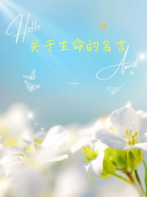 名言如何丈量生命的厚度？-图3