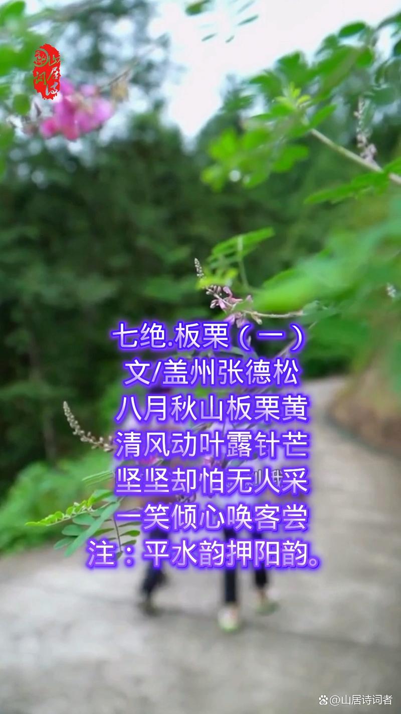 栗子诗歌,栗子的诗歌-图1 栗子诗歌,栗子的诗歌-图1