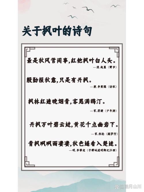 枫叶的诗意,藏着秋的什么秘密?-图1 枫叶的诗意,藏着秋的什么秘密?-图1