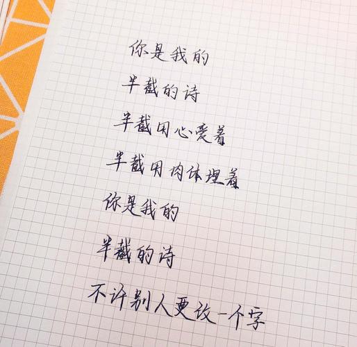 贝壳里藏着怎样的诗歌密码?-图2 贝壳里藏着怎样的诗歌密码?-图2