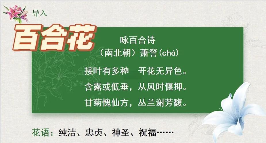 关于花现代诗歌，关于花现代诗歌大全-图2