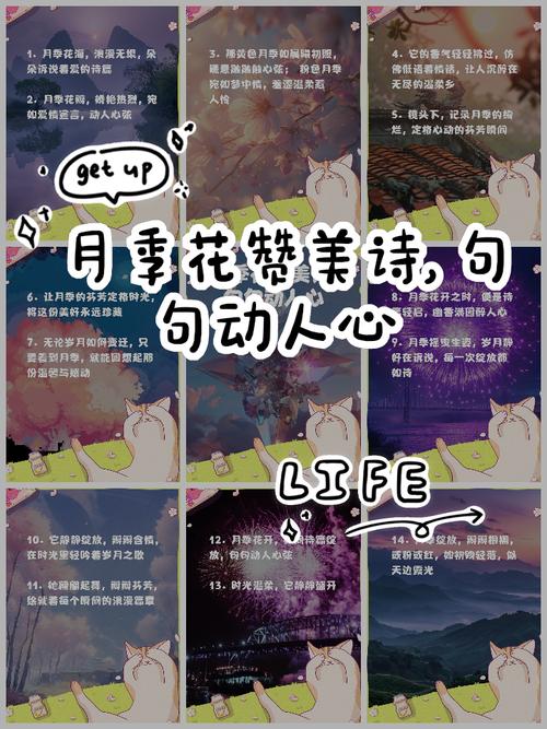 如何写出打动人心的赞美诗歌好句？-图1