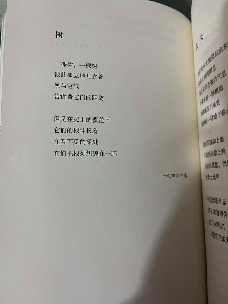 诗歌 树，诗歌树和天空-图2