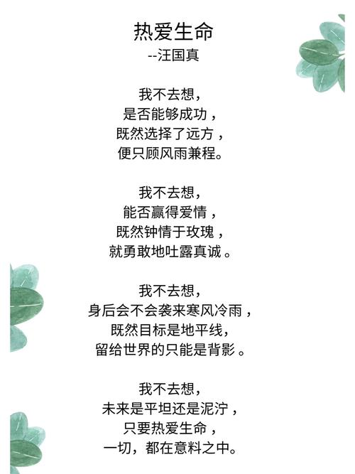 热爱生命名言，如何指引我们珍惜当下？-图2