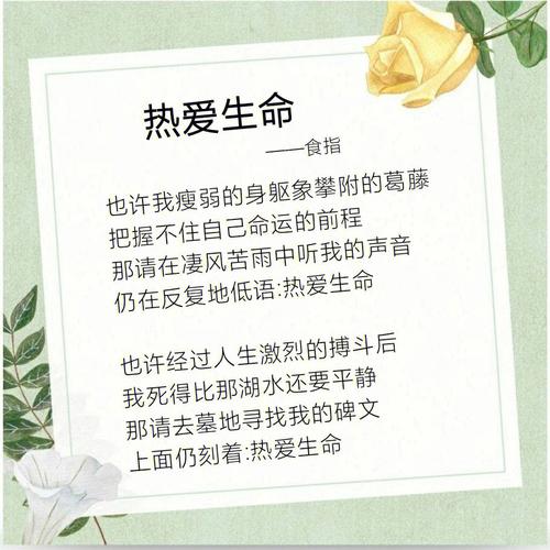 热爱生命名言，如何指引我们珍惜当下？-图3