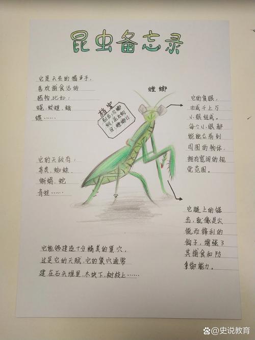 昆虫名言，昆虫名言10个-图1