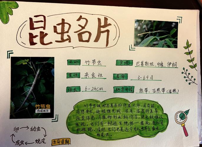 昆虫名言，昆虫名言10个-图2