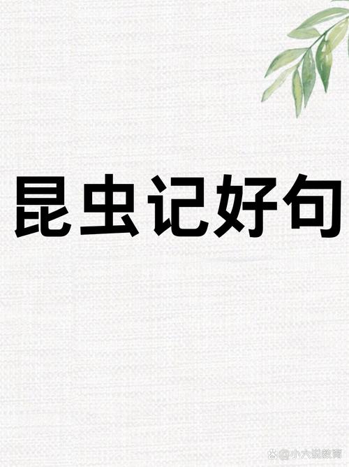 昆虫名言，昆虫名言10个-图3
