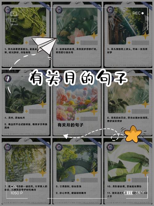 写月的名言，写月的名言佳句-图1