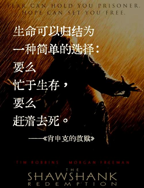 电影大师名言，藏着哪些创作密码？-图2