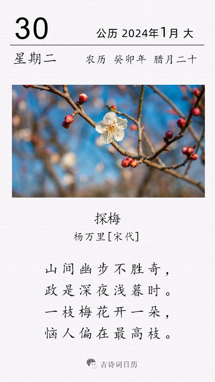 梅诗藏着怎样的冬日魂灵？-图3