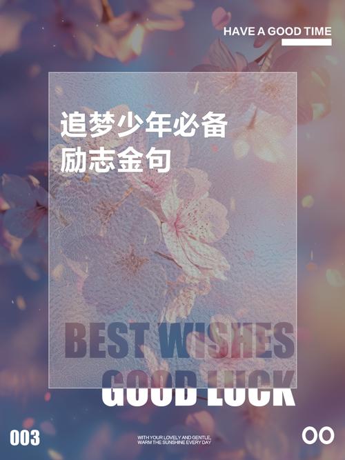 有关追梦的名言,有关追梦的名言警句有哪些呢-图1 有关追梦的名言,有关追梦的名言警句有哪些呢-图1