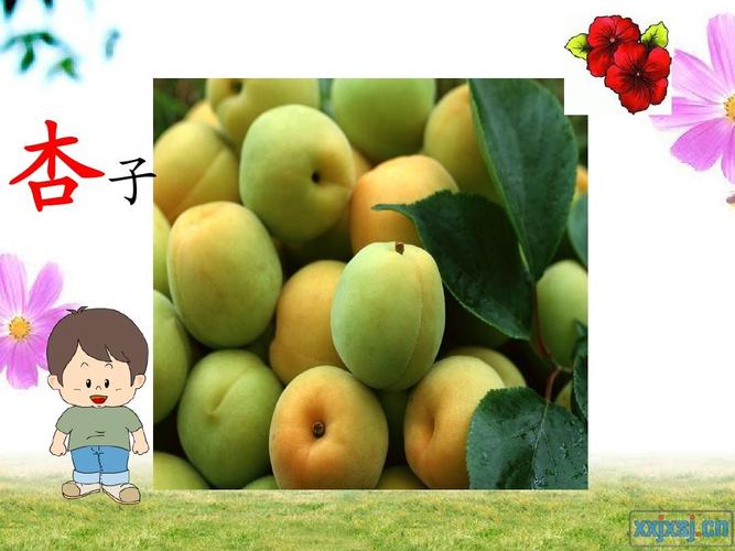 田园诗歌教案，田园诗歌教案中班-图2