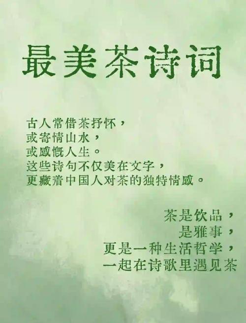 油茶 诗歌,油茶诗词-图1 油茶 诗歌,油茶诗词-图1