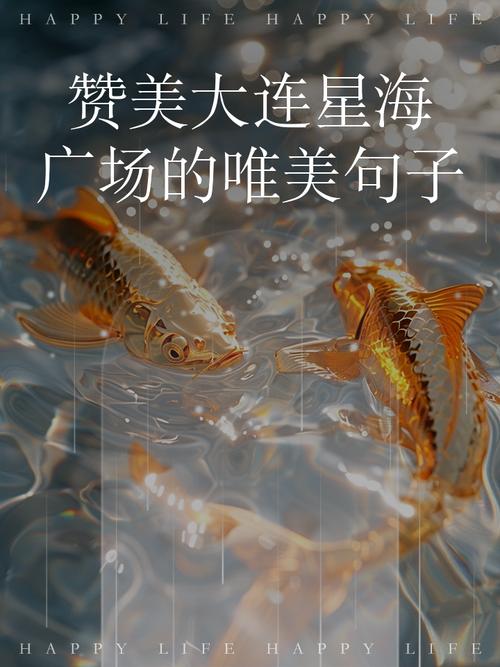 赞大连诗歌，赞美大连的诗歌原创-图1