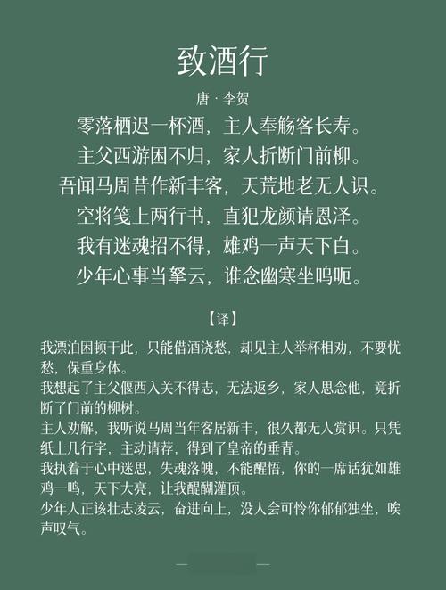 关于酒的诗歌，李白关于酒的诗歌-图3