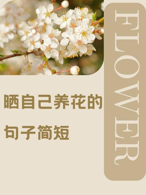 温室花朵名言警句，温室的花朵名言-图1