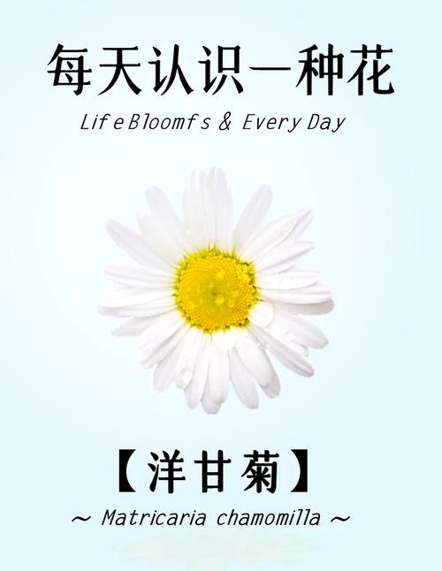 温室花朵名言警句，温室的花朵名言-图2