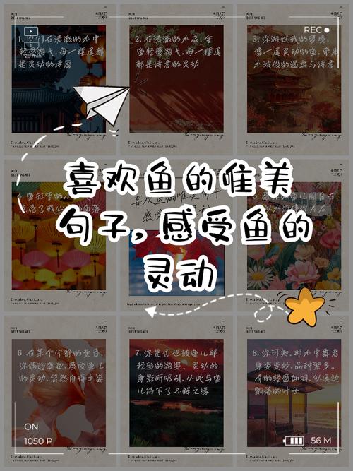 鱼的名言，藏着哪些人生智慧？-图2