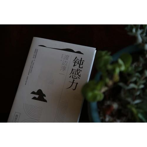 渡边淳一的名言，藏着怎样的人生智慧？-图1