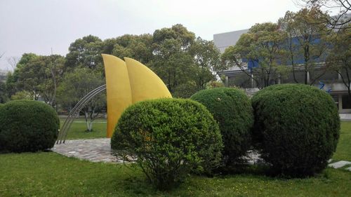 绿色校园诗中藏着什么春天?-图1 绿色校园诗中藏着什么春天?-图1