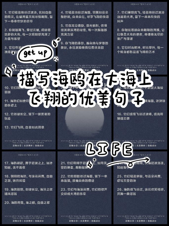 飞翔名言,藏着怎样的生命哲思?-图1 飞翔名言,藏着怎样的生命哲思?-图1