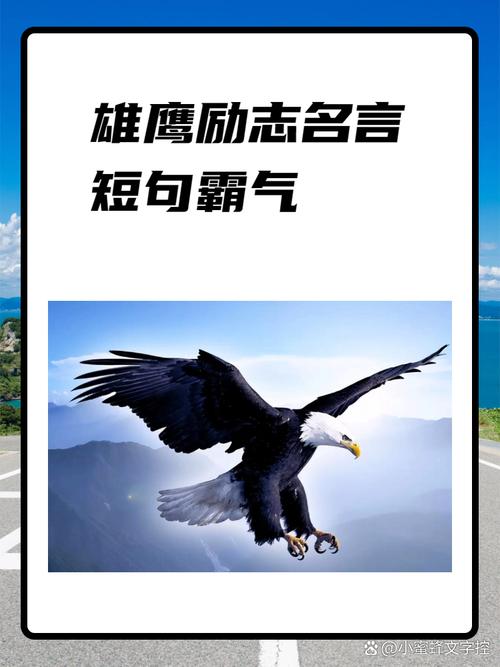 飞翔名言，藏着怎样的生命哲思？-图2