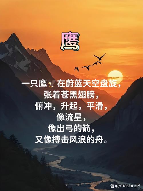 飞翔名言，藏着怎样的生命哲思？-图3