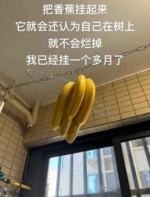 香蕉为何能成名言？-图3